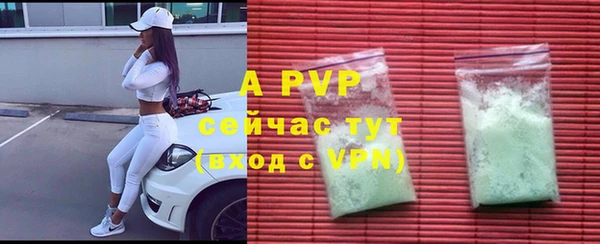 индика Куйбышев