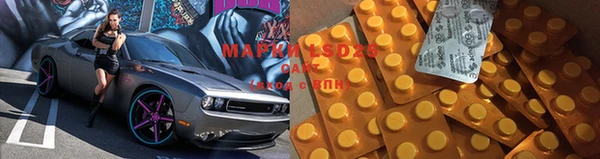 индика Куйбышев