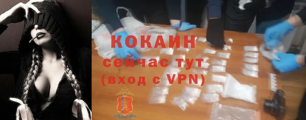 индика Куйбышев