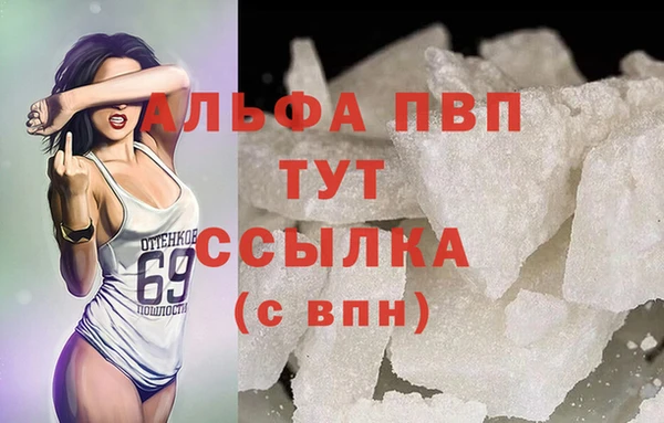 индика Куйбышев
