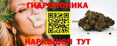 jwh Краснознаменск