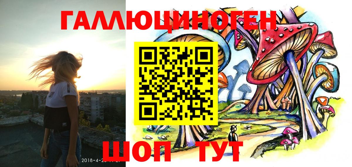 Псилоцибиновые грибы Psilocybe Урай