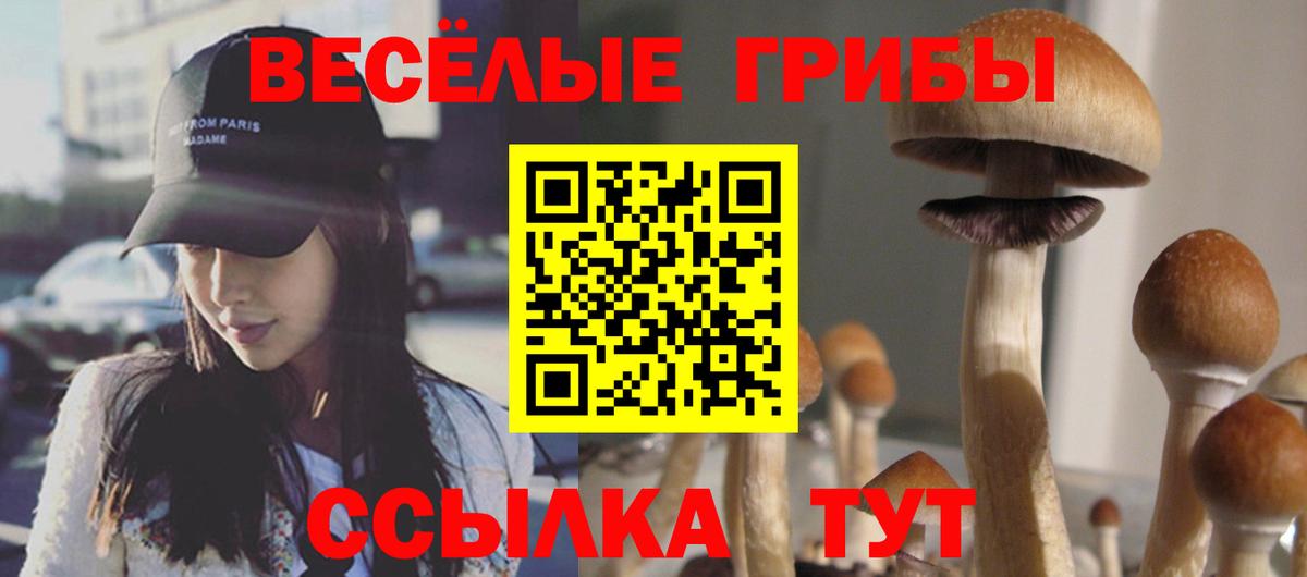 Урай  купить наркотик  Вход с VPN  Псилоцибиновые грибы прущие грибы 